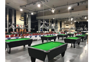 Golden 8 Ball 2018 Festival Of Pool